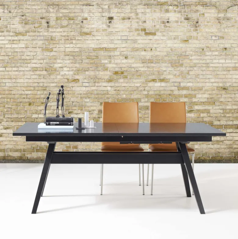 SM11 Table de séjour scandinave extensible en bois